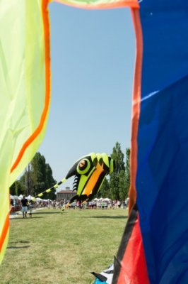 La Festa